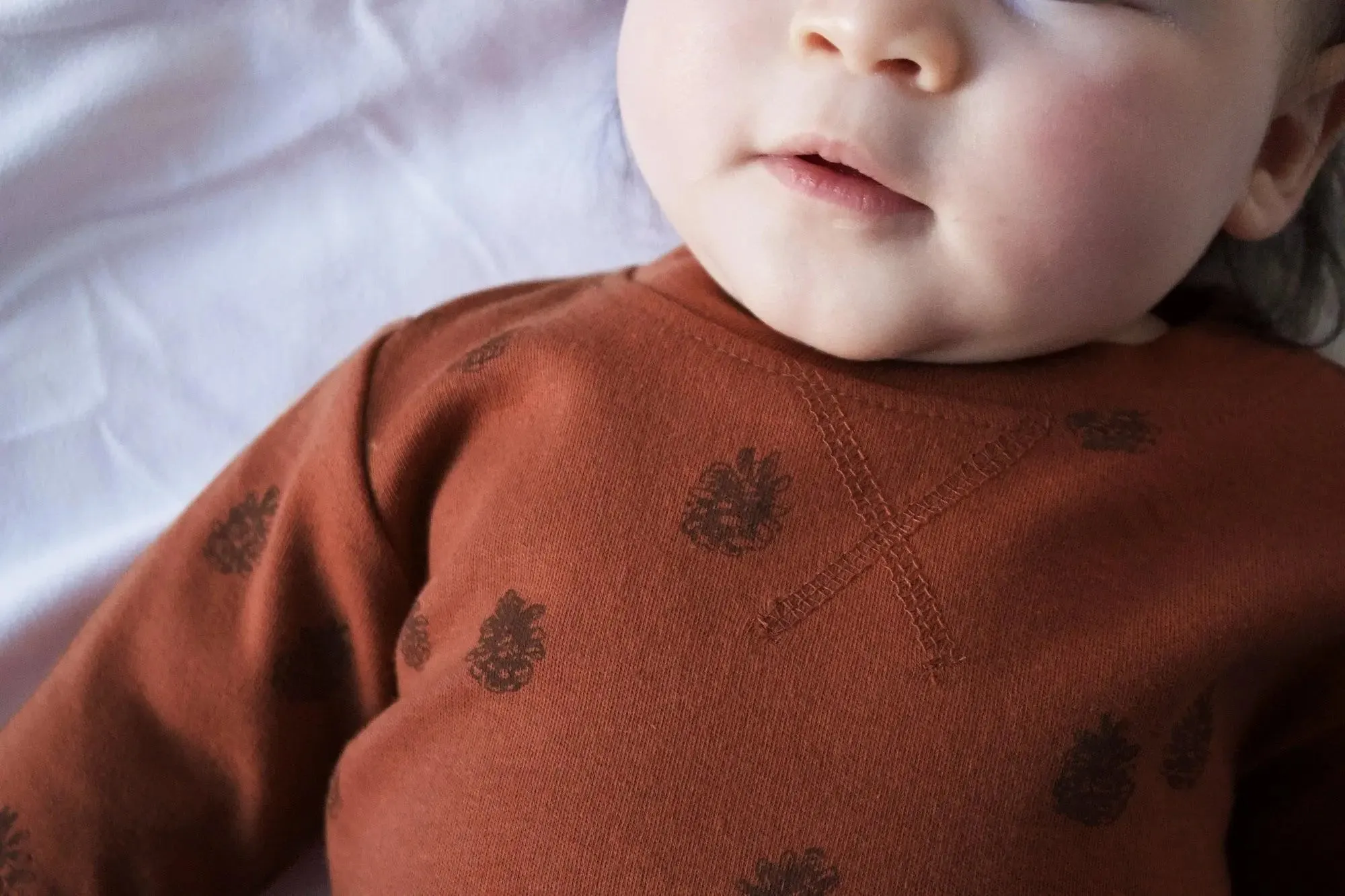 Organic Printed Sweatshirt & Jogger Set in Cinnamon Pinecone | L’ovedbaby
