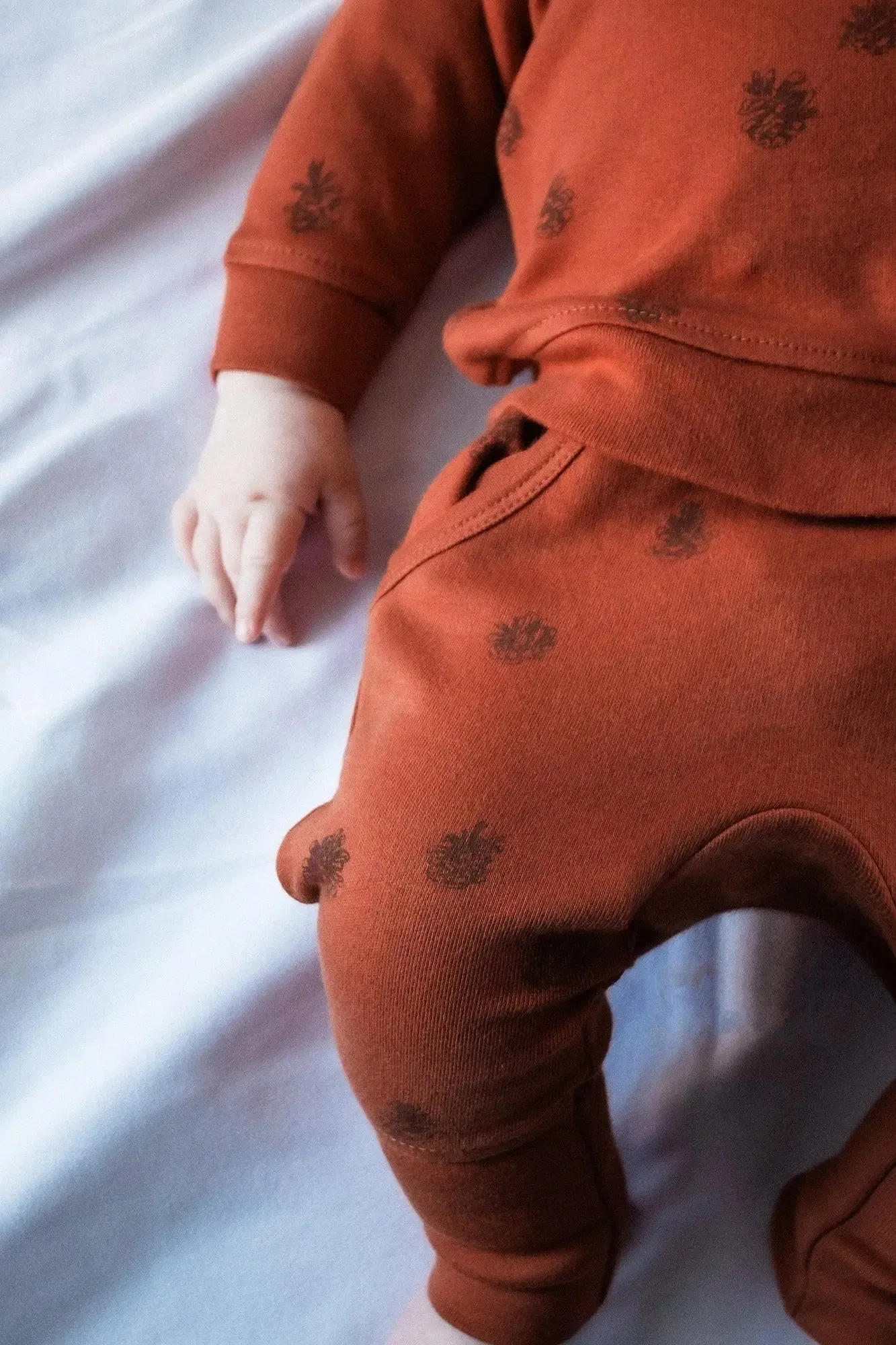 Organic Printed Sweatshirt & Jogger Set in Cinnamon Pinecone | L’ovedbaby