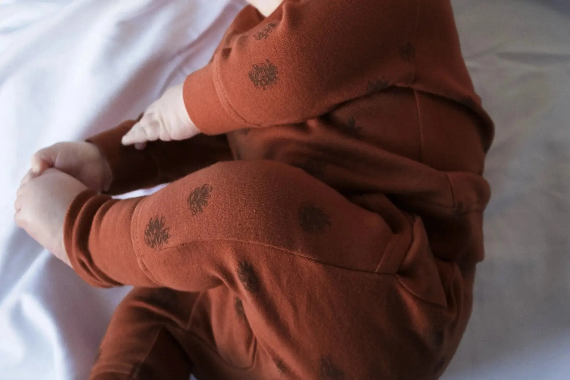 Organic Printed Sweatshirt & Jogger Set in Cinnamon Pinecone | L’ovedbaby